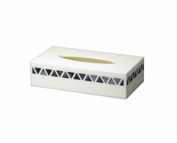 长方形纸巾盒 (21)